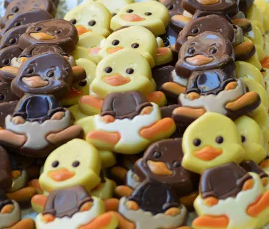 Patitos